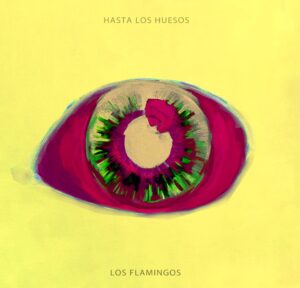 Hasta los huesos de Los Flamingos