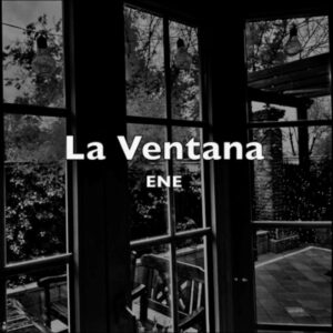 El niño erizo - La ventana