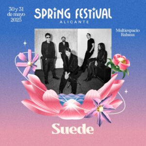 Suede Spring Festival 2025