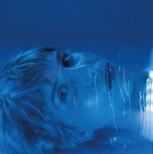 Azul Ferreira publica Estancias