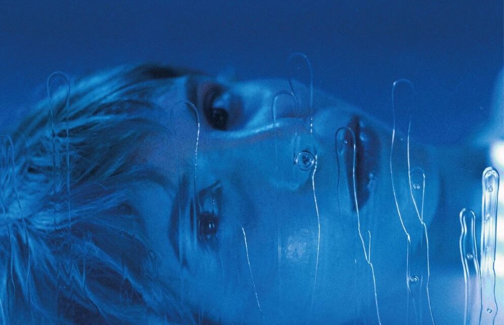 Azul Ferreira publica Estancias