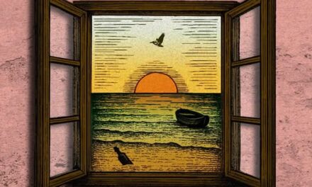 Pelícanos Sin Límites Ni Expectativas