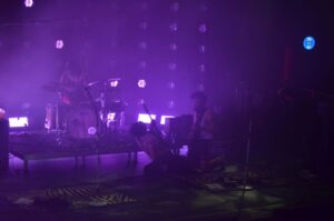 Sexy Zebras en Marmarela