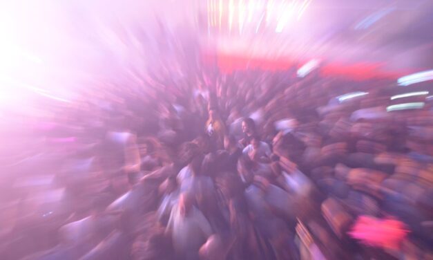 Sexy Zebras en Marmarela