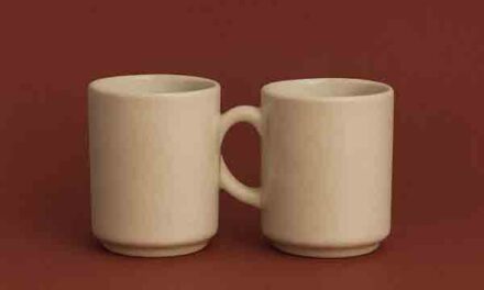 Medias Pintas lanza el sencillo Bonita Casualidad