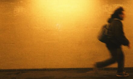 LLUVIA presenta “FAR”