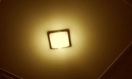 RICARDO PORTMAN Deer