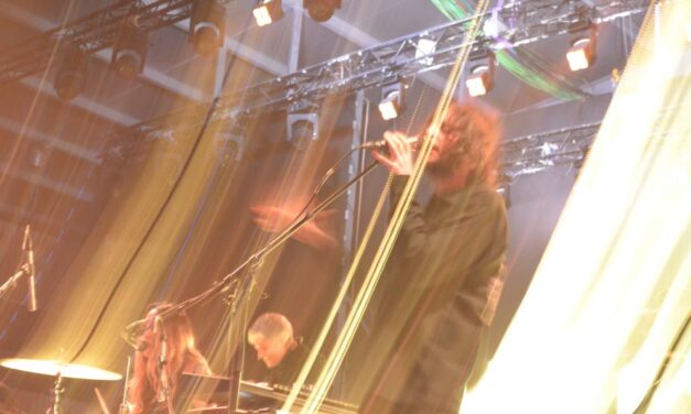 Rufus rinde Alicante a sus pies