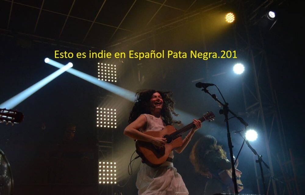 Esto es indie en español Pata Negra.201