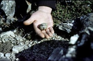 Marion Harper i Joan Vissi The Time Capsule