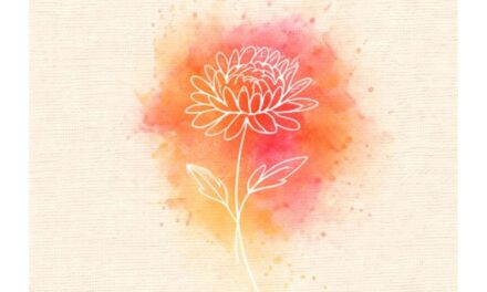 SARA DEL VALLE y sus Momentos Lentos