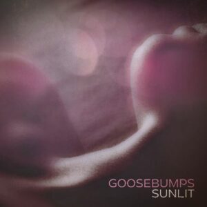 SUNLIT Goosebumps