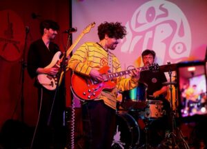 LOS acebos Sala Credence