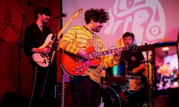 Los Acebos en Zaragoza: indie rock a flor de piel