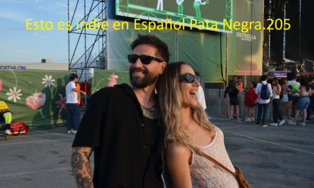 Esto es indie en ESpañol Pata Negra.205