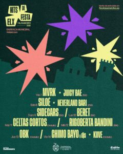Nits de Festa en Elche