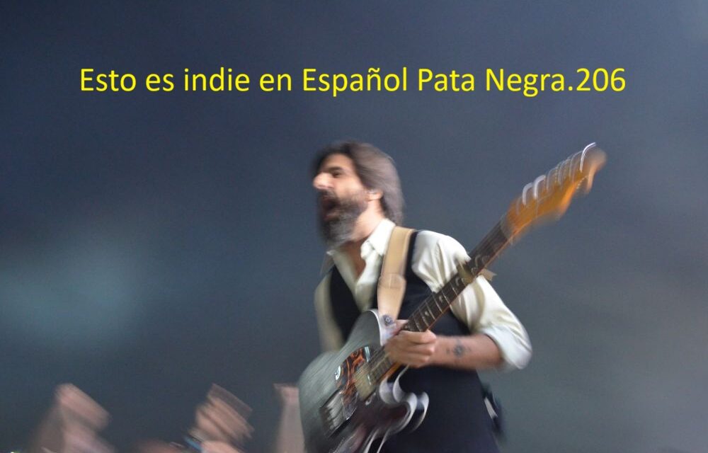 Esto es indie en ESpañol Pata Negra.206