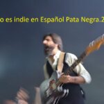Esto es indie en ESpañol Pata Negra.206