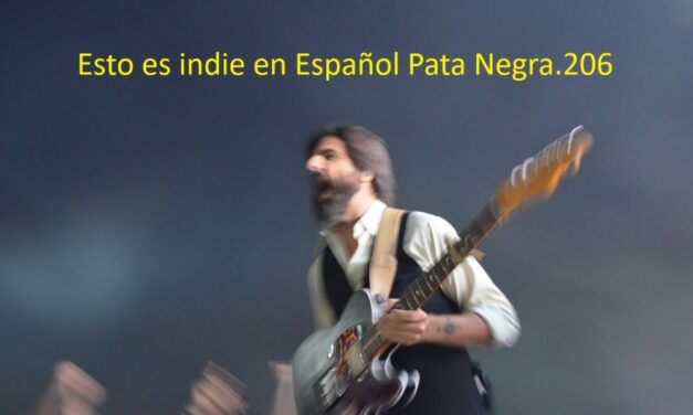 Esto es indie en ESpañol Pata Negra.206