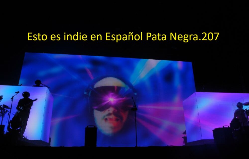 Esto es indie en ESpañol Pata Negra. 207