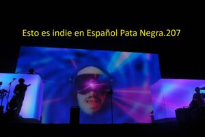 Esto es indie en ESpañol Pata Negra. 207