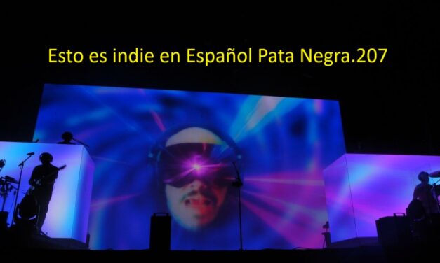 Esto es indie en ESpañol Pata Negra. 207