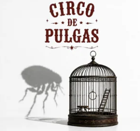 TOXO presenta ‘Circo de pulgas’