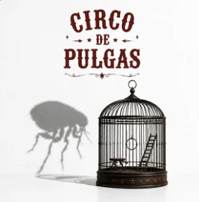 TOXO Circo de pulgas portada