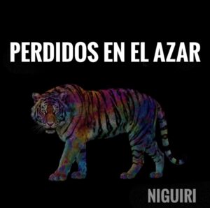 Niguiri perdidos en el azar portada