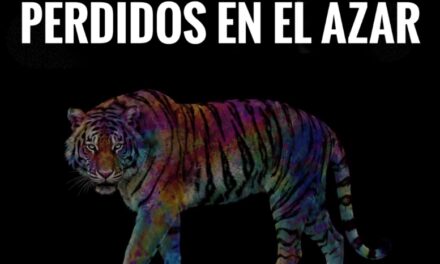 Niguiri presenta “Perdidos en el Azar”