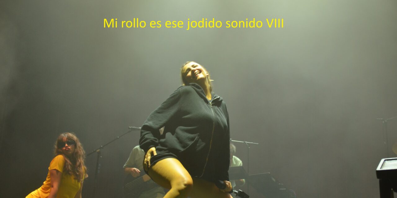 Mi rollo es ese jodido sonido VIII