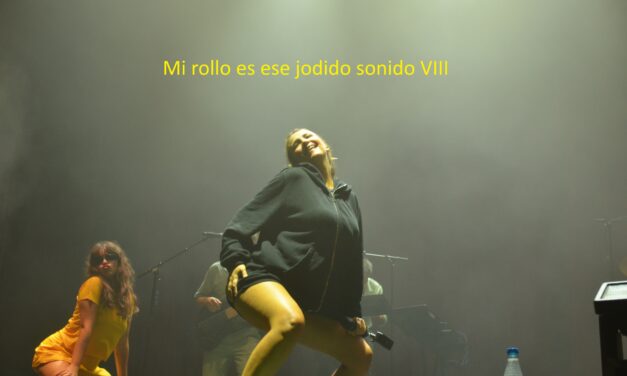 Mi rollo es ese jodido sonido VIII