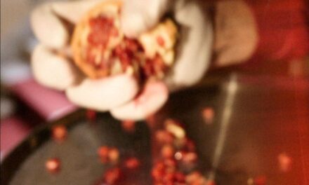 LEVITANTS y su True Crime